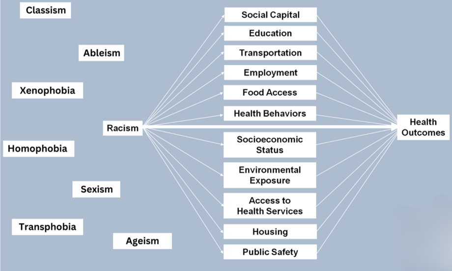 Text blocks that reads, "Classism, ableism, xenophobia, racism, homophobia, sexism, transphobia, and ageism" feed into a list including, "social capital, education, transportation, employment, food access, health behaviors, socioeconomic status, environmental exposure, access to health services, housing, public safety" and that list feeds into "health outcomes".