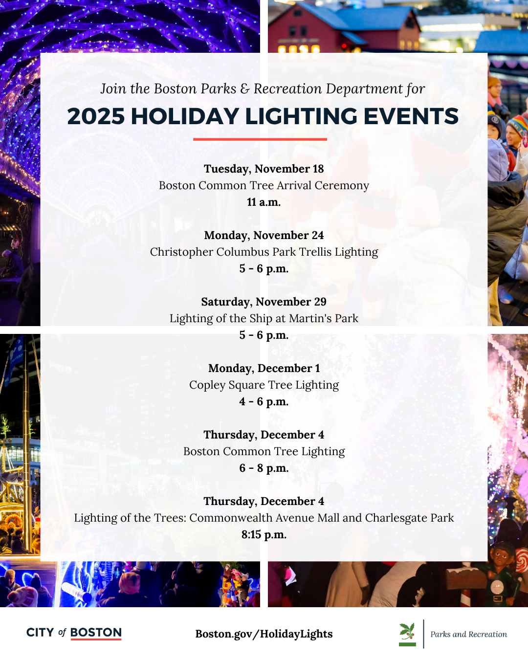 Holiday Lights FLyer 2