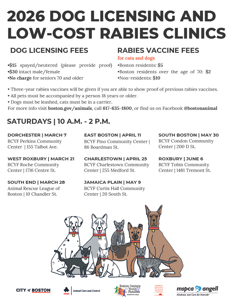 Dog licensing clinic flyer 2026