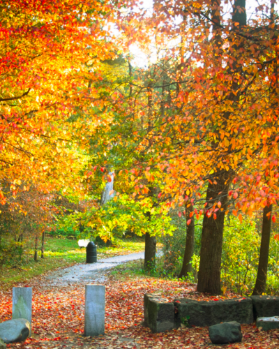Franklin Park with foliage