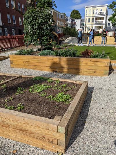 growboston grassroots