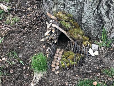Fairy House