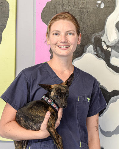 Animal Care and Control