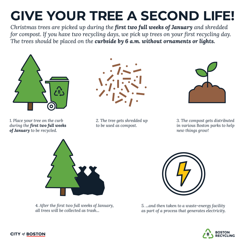 Image of Christmas tree recycling graphic