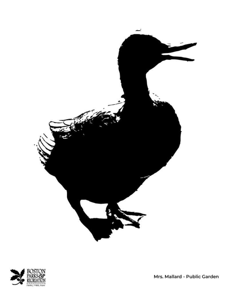 Mrs.-Mallard Jack-o-lantern Template