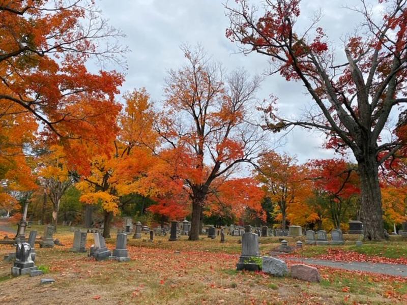 Mount Hope Fall Colors