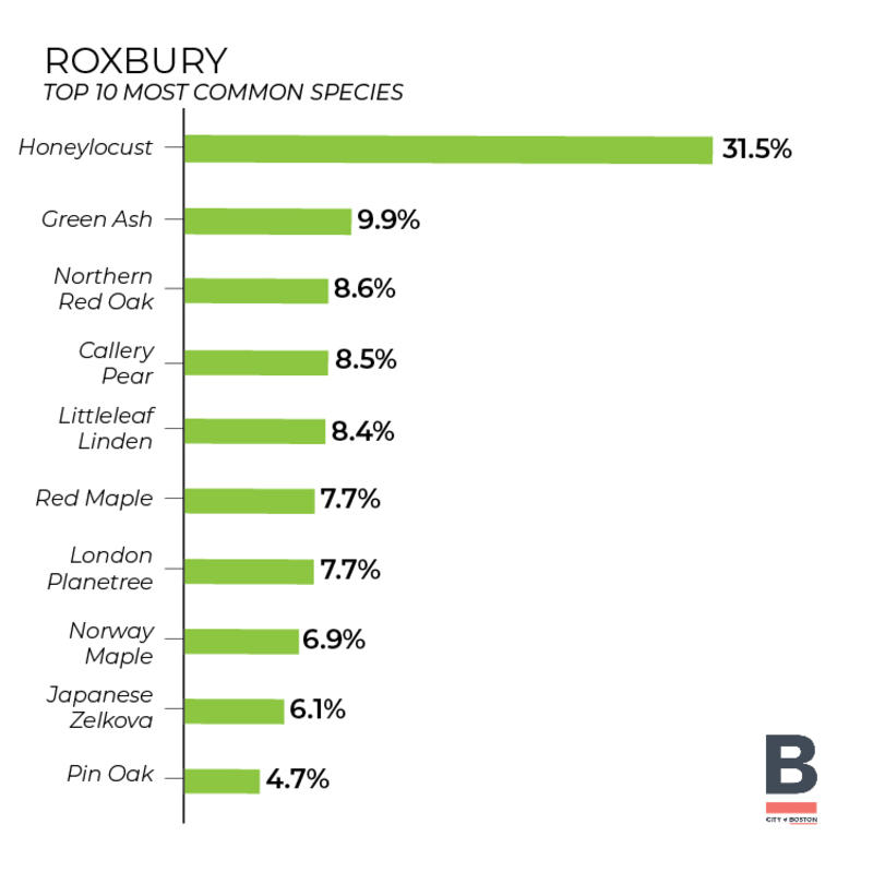 Tree Inventory - Roxbury (bar graph) 