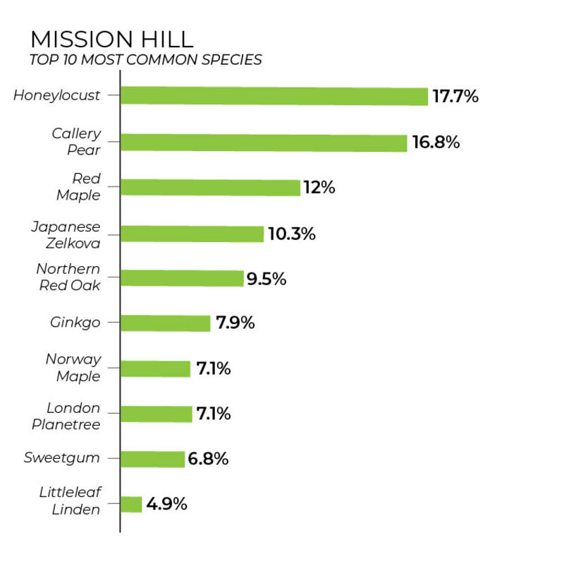 Mission Hill tree inventory