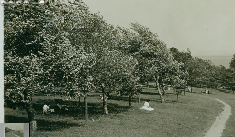 Bath houses and beach, Wood Island Park