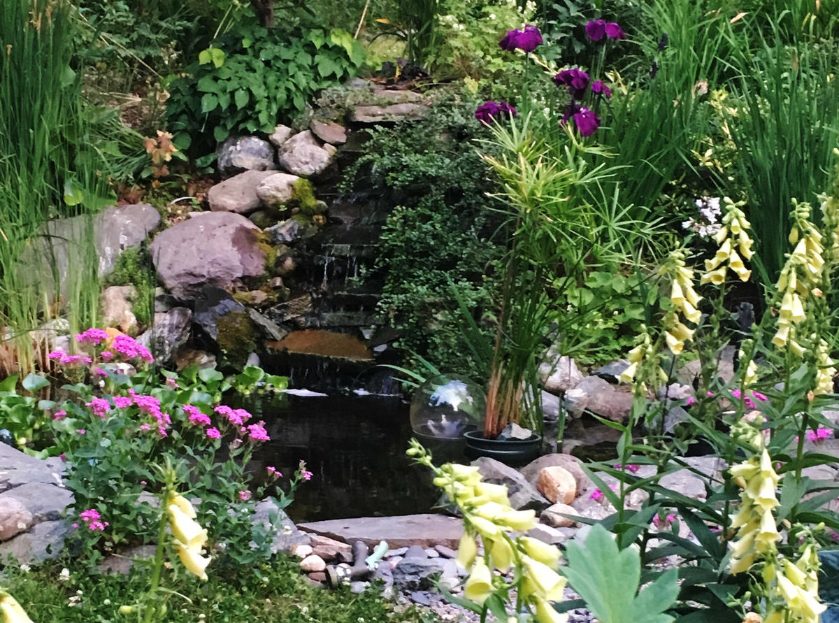 Galblum - 2nd Place Large Yard