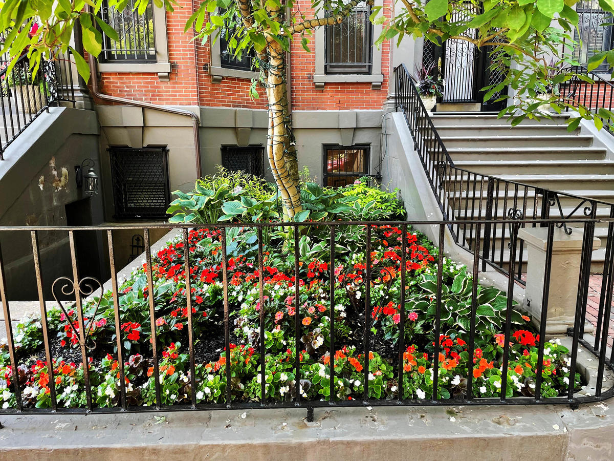 Comeau - 3rd Place Shade