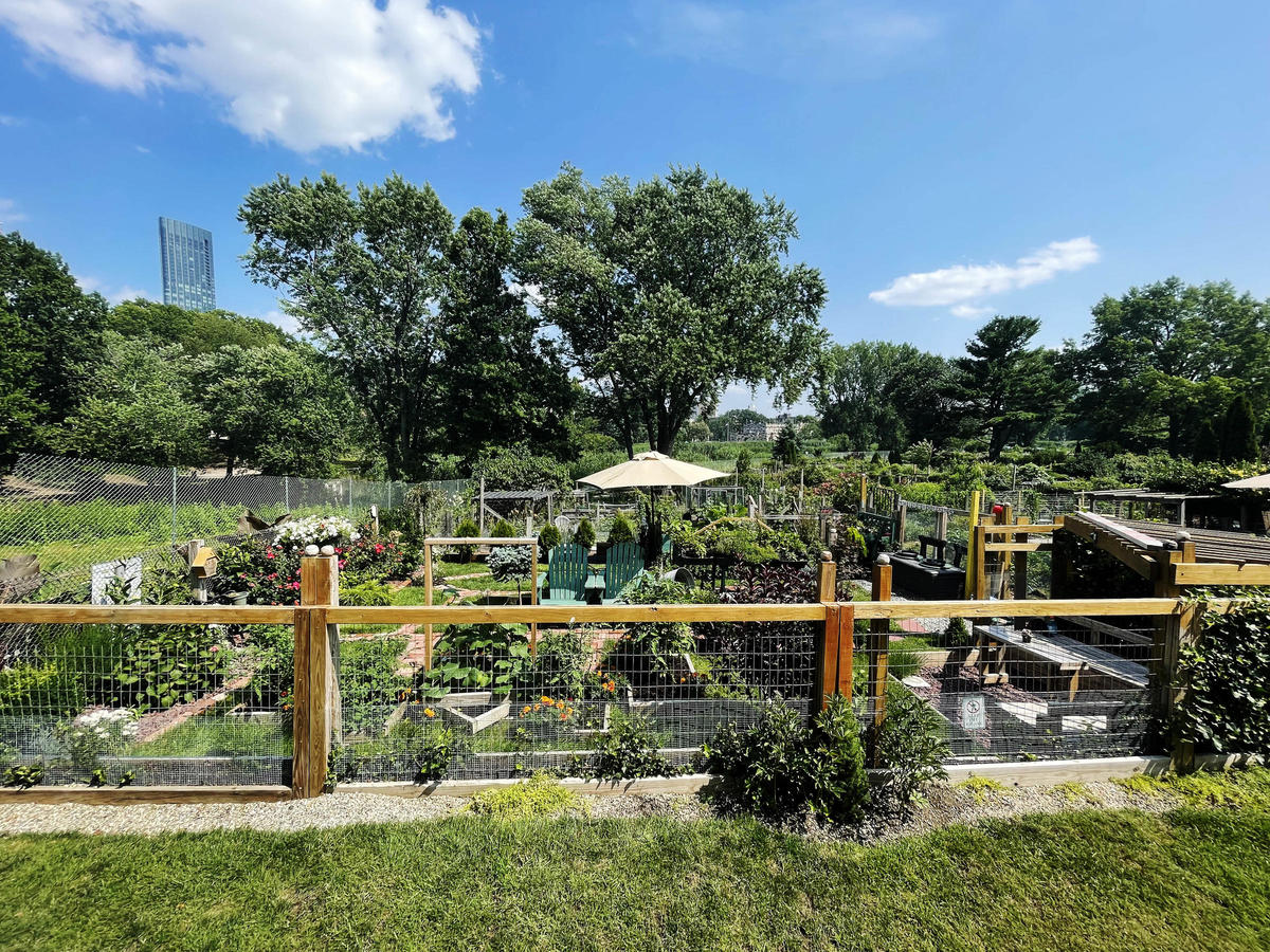 McNulty - First Place Community