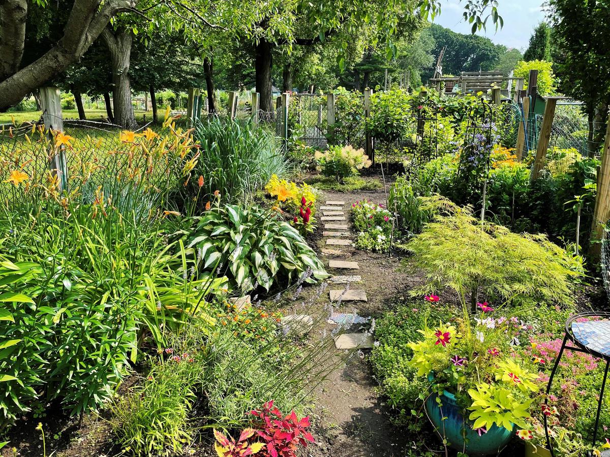 DiPierro - 3rd Place Community