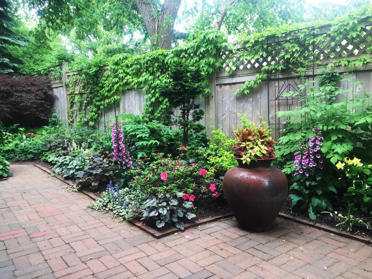 Sklar - 2nd Place Medium Yard