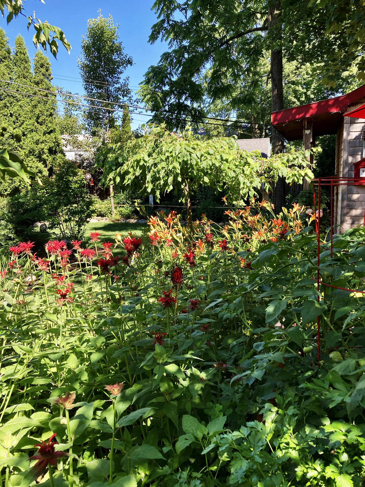 Bresenski - 3rd Place Large Yard