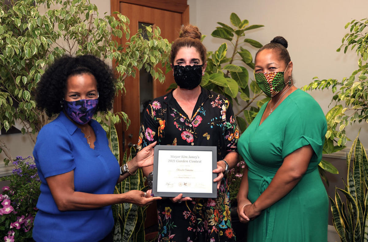 Comeau - 3rd Place Shade - Award