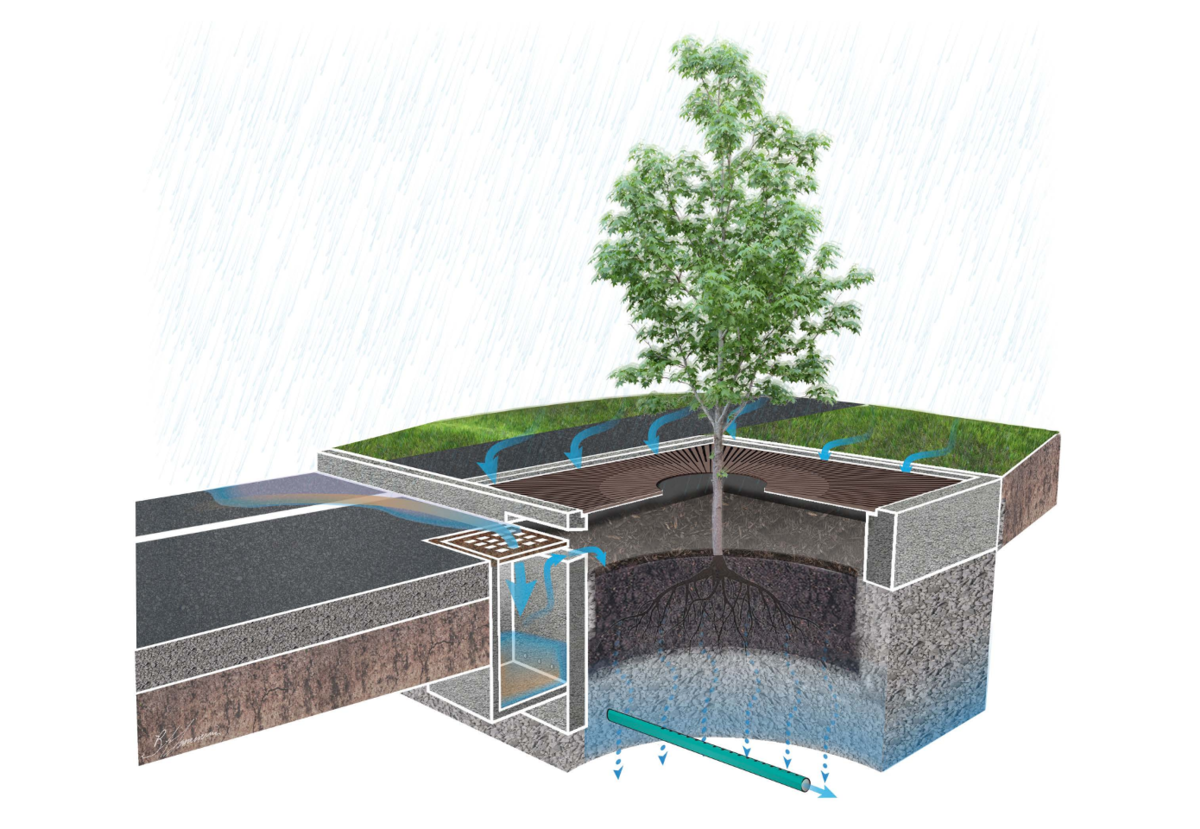 What is Green Infrastructure? | Boston.gov
