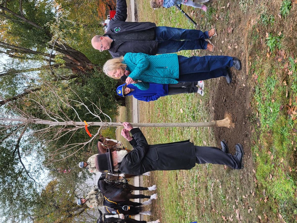 A local personality dressed to embody Frederick Law Olmstead adjusts the newly planted tree while a woman reads into a microphone and the Parks commissioner and children look on. Mounted rangers are in the background.