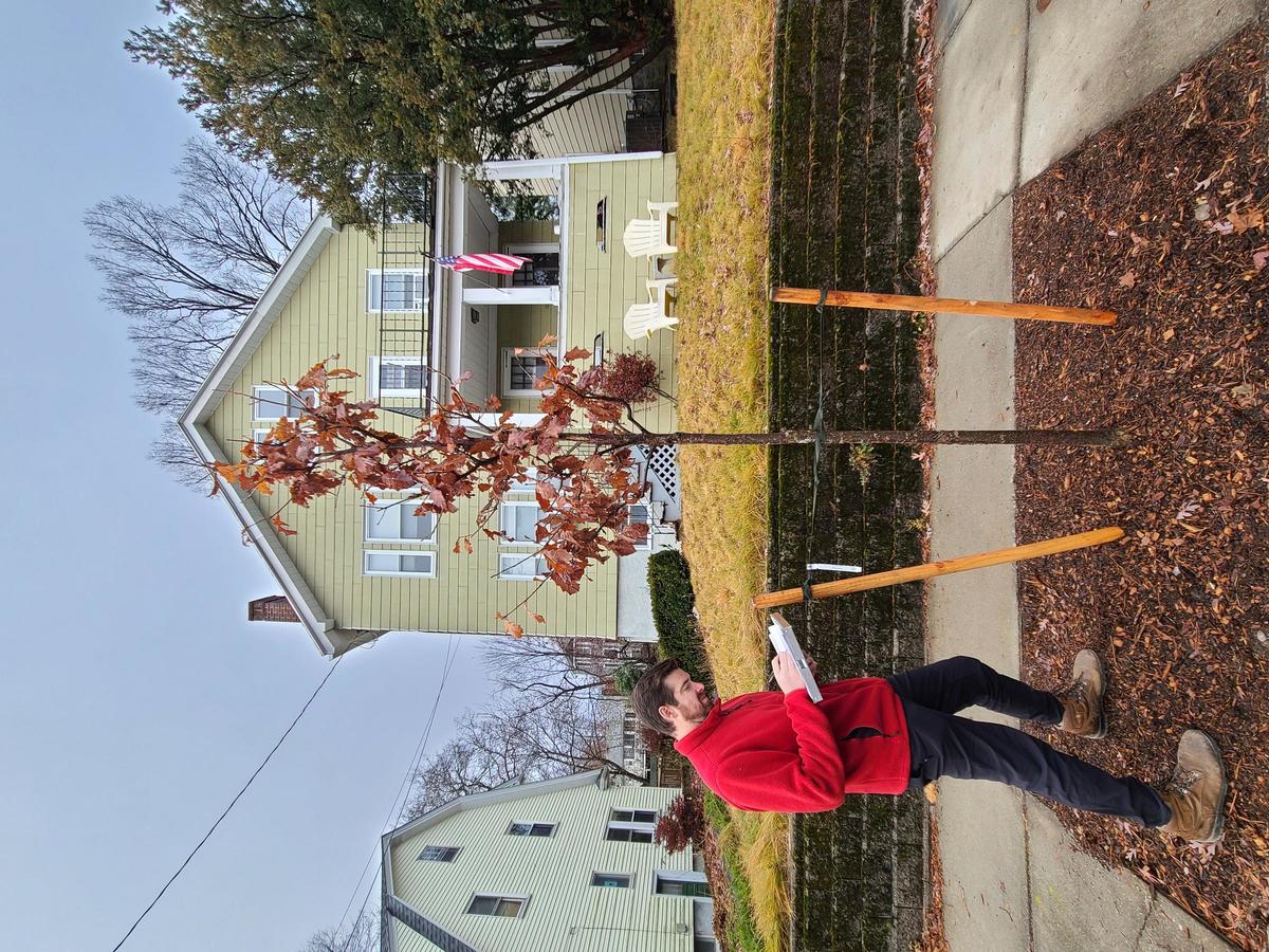 An arborist takes notes on a young tree.