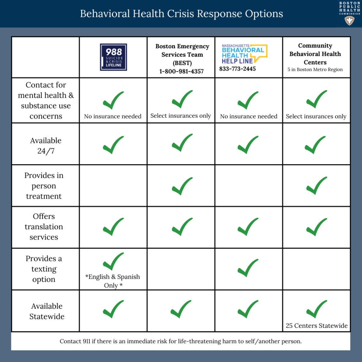 BH Crisis Options Grid