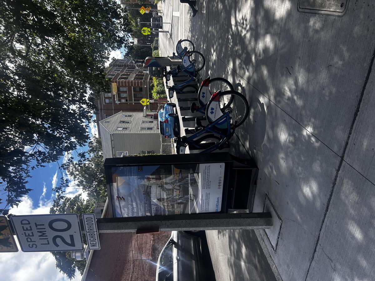 Bluebikes station and new crosswalks on Mount Pleasant Avenue