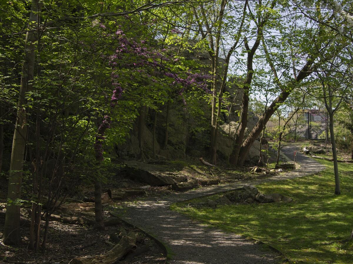 Nira Rock by Lisa McCarty