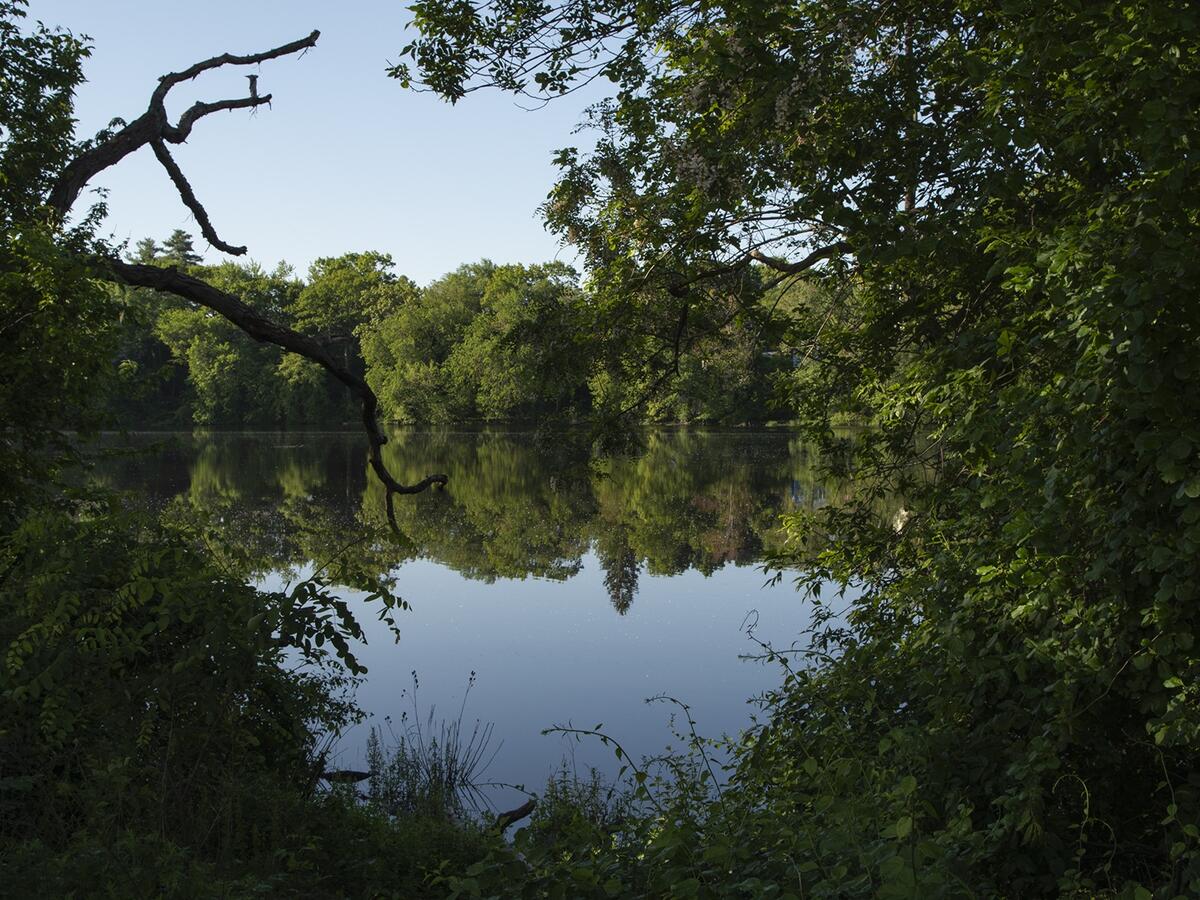 Rivermoor by Lisa McCarty