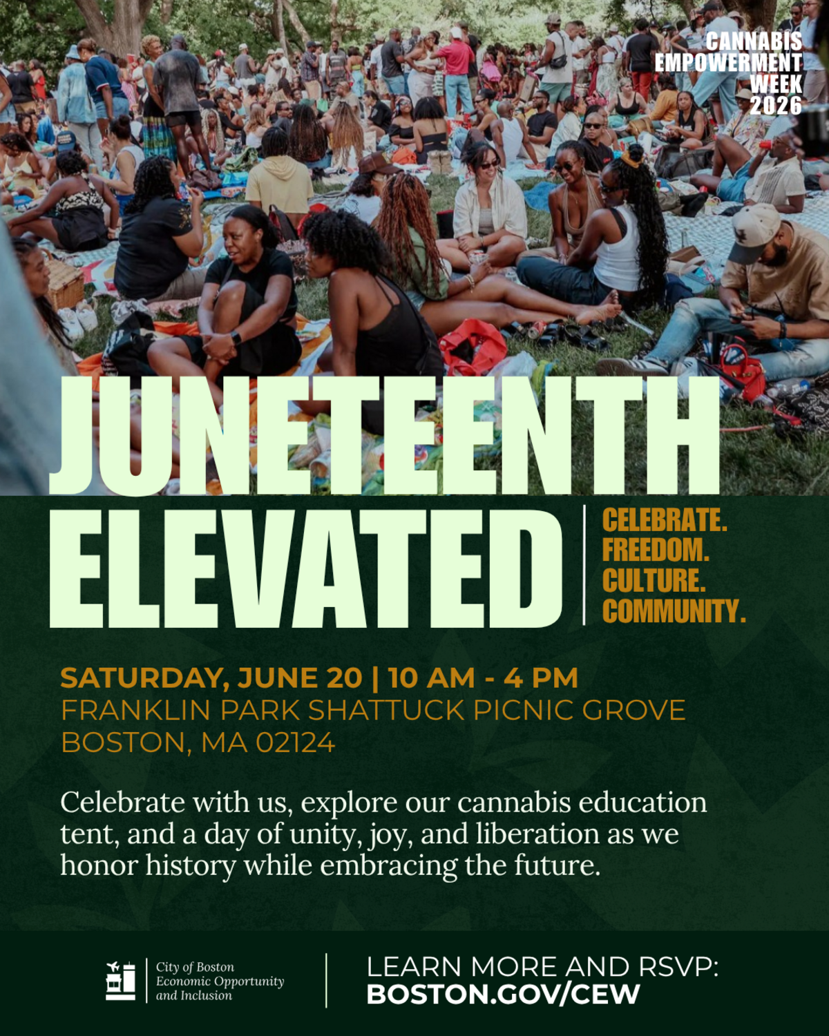 Juneteenth Elevated CEW