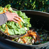 Image for food waste