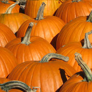 Image for pumpkins fresh fall fair 181025 2000