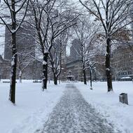 Pathway on Boston Common covered in snow lined by trees.