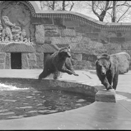 Mayor Michelle Wu announced that care and custody of the Franklin Park Bear Dens will return to the Boston Parks Department after years of management by Zoo New England.