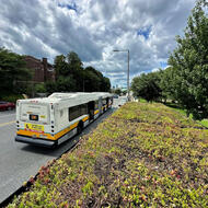 Mayor Michelle Wu announced the installation of green roofs on 30 bus shelters along the MBTA’s #28 Bus route.