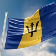 bajan flag