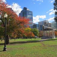 Image for language and communications access