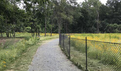 Sherrin Street Woods Urban Wild