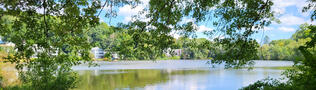 View of Chandler Pond with tree in the foreground